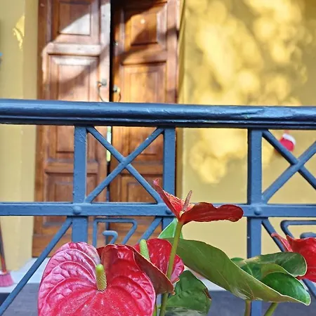 Apartament Baldini - &