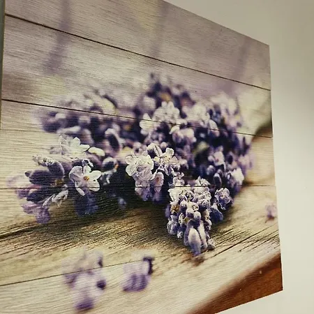 Apartment Baldini - & *